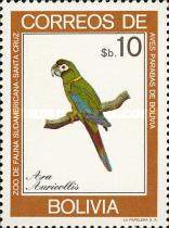 [Parrots, type YY]