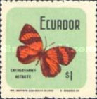 [Butterflies, type BAY]