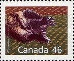 [Canadian Mammals, type AQH]