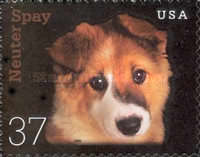 [Neuter or Spay - Self-Adhesive, type EEY]