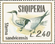 [Seabirds, type AQX]