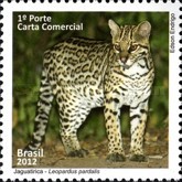 [Brazilian Fauna, type ENH]