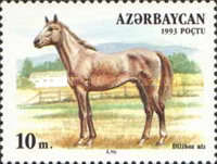[Horses, type AF]