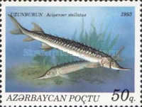 [Fish, type AQ]