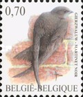 [Birds - Black Swift & Common Kestrel, type DGH]