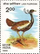 [Wildlife Conservation. Lesser Florican, type AOC]