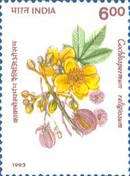 [Flowering Trees, type ATY]