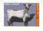 [Domestic Animals, type DFY]