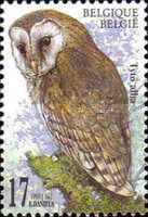 [Birds - Owls, type CEA]