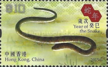 [New Year Animals, type BLV]