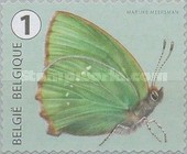 [Butterflies, type XLD]
