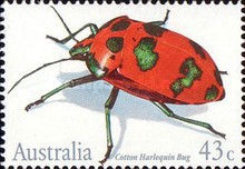[Insects, type API]