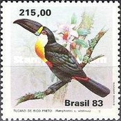 [Toucans, type BVK]