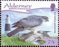 [Birds of Prey, type LS]