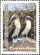 [Ibero-American Tourism and the Environment Conference - Galapagos Islands Fauna, type CUP]