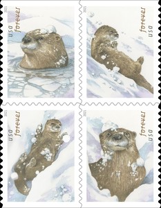 [Otters in Snow, type ]