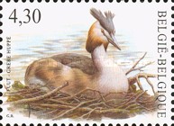[Birds, type DDO]