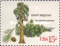 [American Trees, type ASR]
