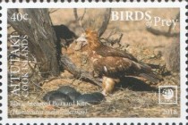 [Birds of Prey - White Frame, type ZP]