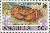 [Christmas - Marine Snails, type ACT]