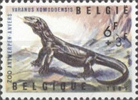 [Antwerp zoo, type AFH]
