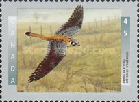 [Birds, type BCI]