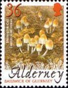 [Mushrooms, type HR]