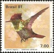 [Hummingbirds, type BPW]
