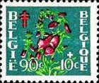 [Plants - The struggle against Tuberculosis, type PQ]
