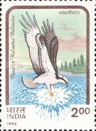 [Birds of Prey, type ATA]