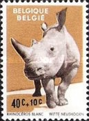 [Animals from Antwerp zoo, type ZL]