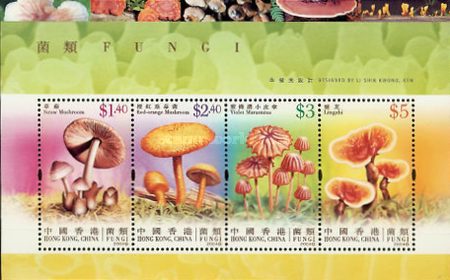 [Fungi, type ]