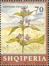 [Medicinal Plants, type CAF]