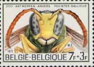 [Antwerp Zoo - Insects, type AOE]