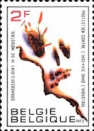 [Fire Security, type APN]