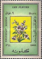 [Flora - Flowering Plants, type AHZ]