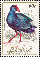 [Birds, type LN]