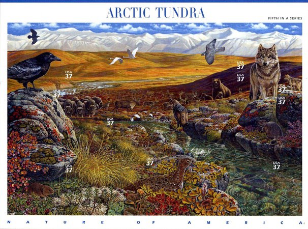 [Nature of America - Arctic Tundra - Self-Adhesive, type ]