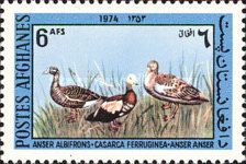 [Fauna - Birds, type SL]