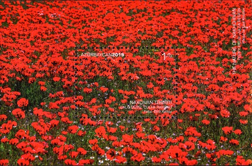 [Nakhichevan Views - Poppy Field, type ]