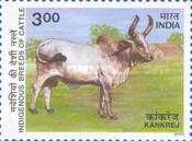 [Indigenous Breeds of Cattle, type BHQ]