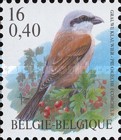 [Birds, type CGX]