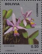 [Orchids, type RU]