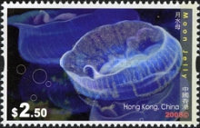 [Jellyfish, type AXQ]
