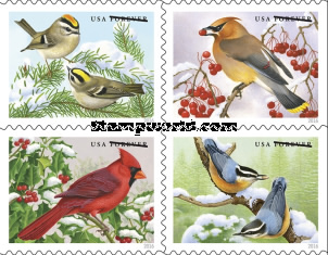 [Songbirds in the Snow, type ]