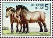 [Horses, type AUL]