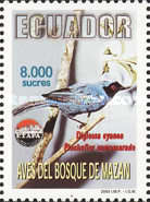 [Birds of Mazan, type CNA]