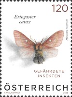[Insects - Eriogaster catax, type DZU]