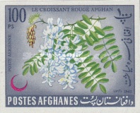 [Afghan Red Crescent Society, type JF3]