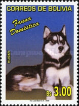[Pets, Dogs, type BGT]